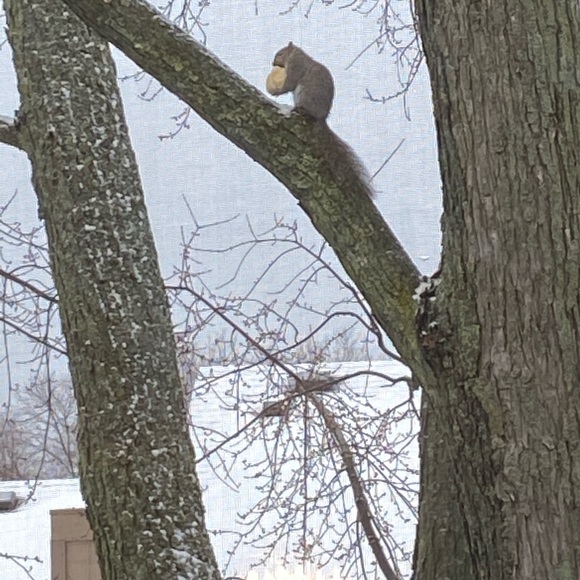 Meet your Posher Linda! - Picture 7 of 16